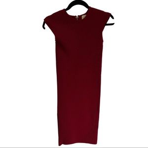 Torn by Ronny Kobo | maroon dress